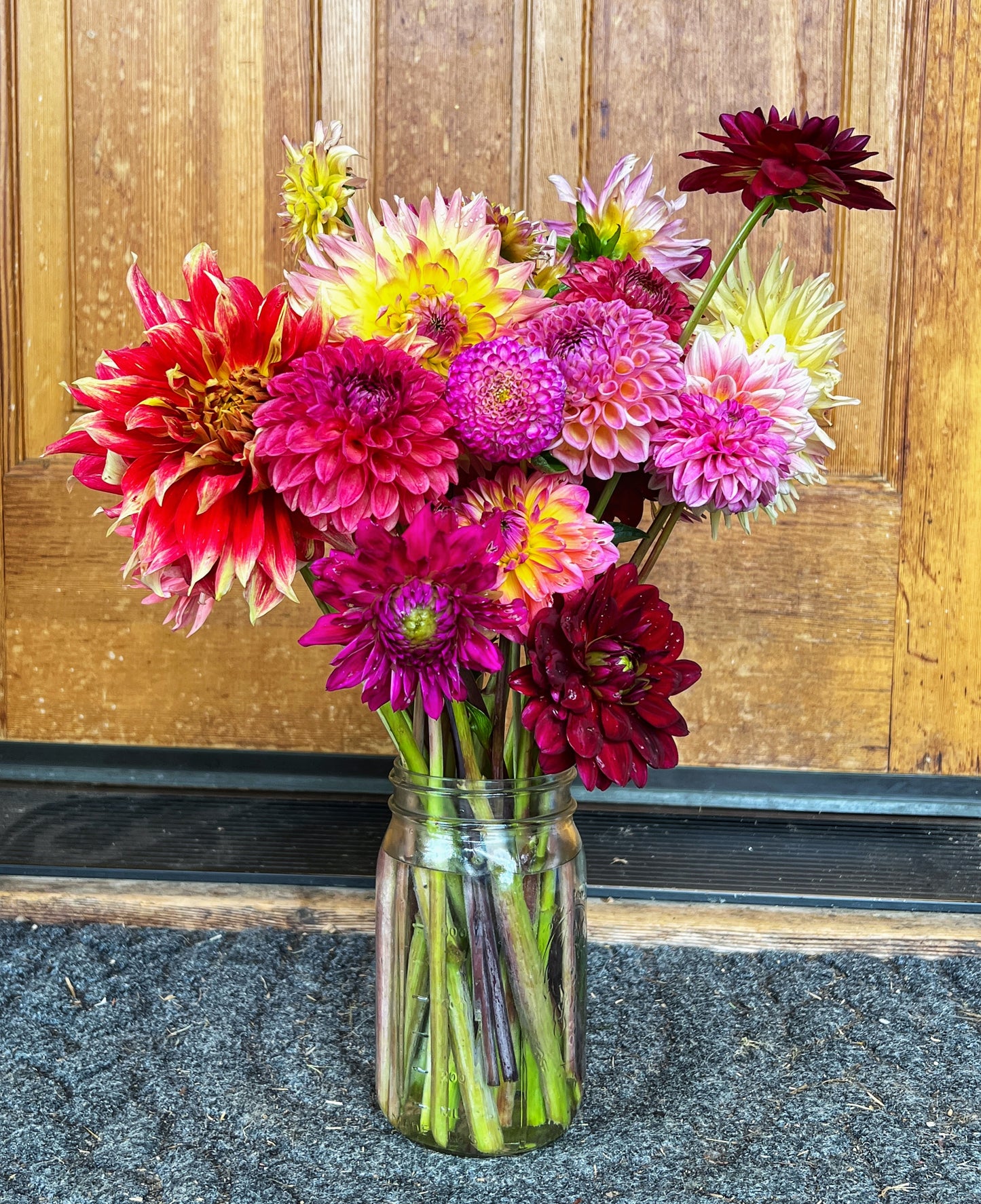 Garden Starter Pack-5 Grower's Choice Tubers (Flowers Feed Families Fundraiser)