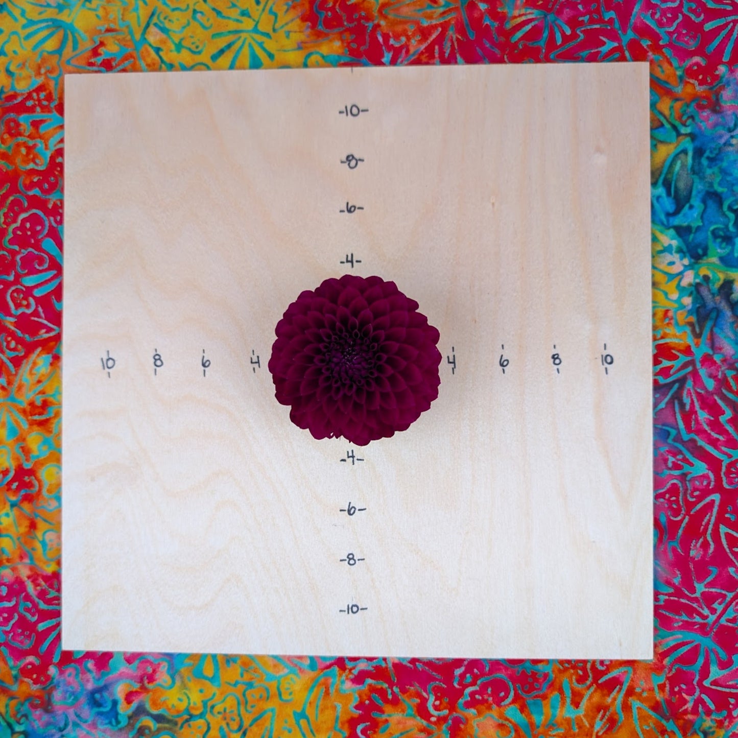 Saddlerock Tiny Giant