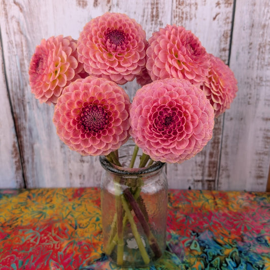 20th Ave Softer Peach