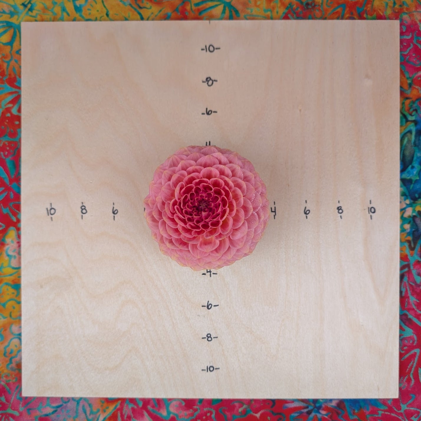 20th Ave Softer Peach