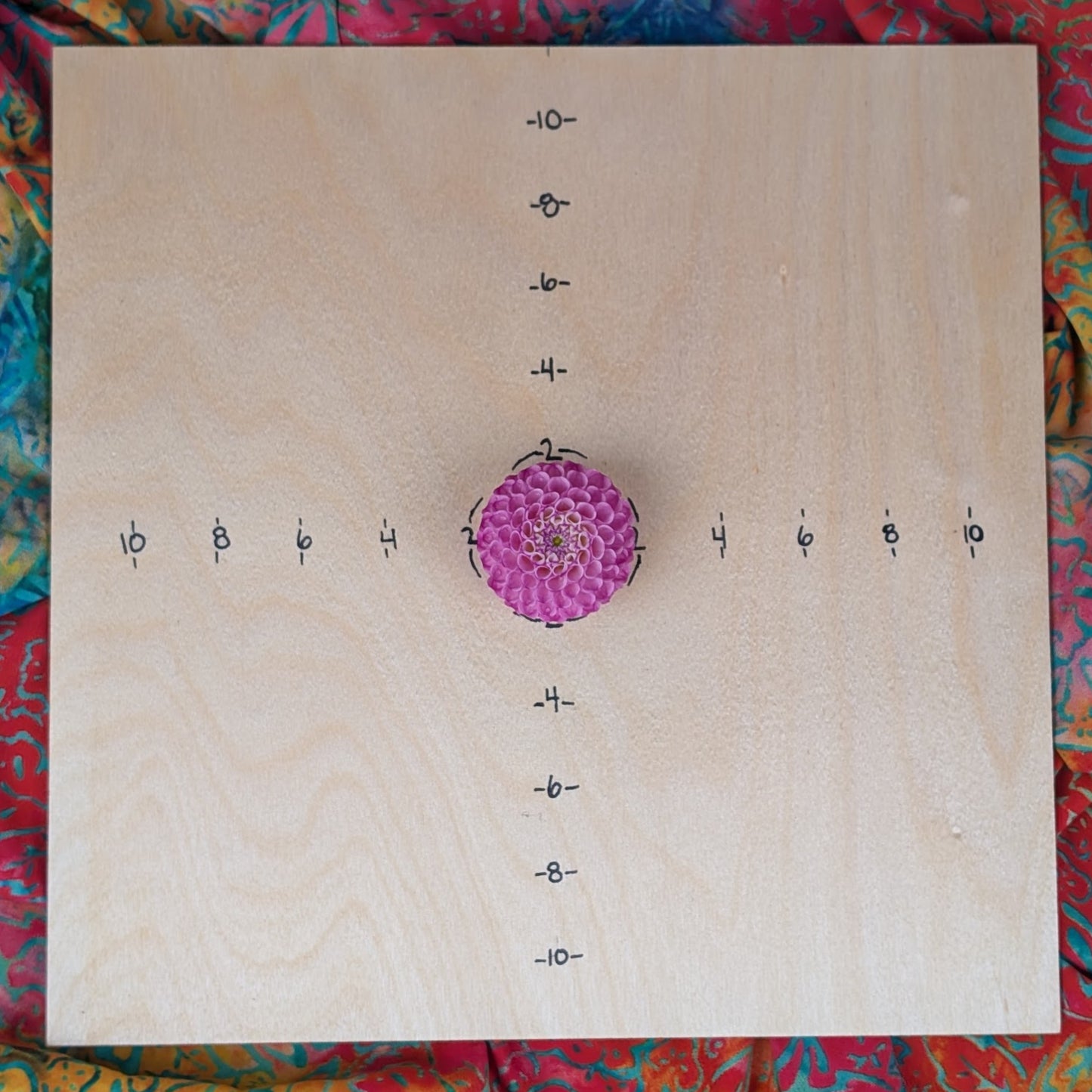 Bloomquist Wonderful