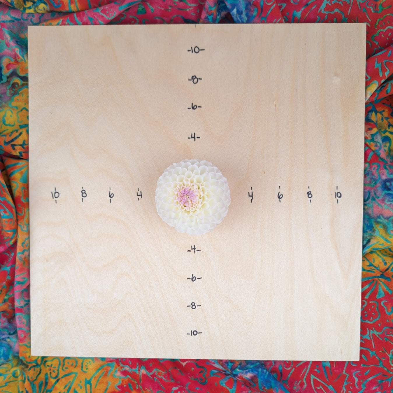 Hollyhill Miss White