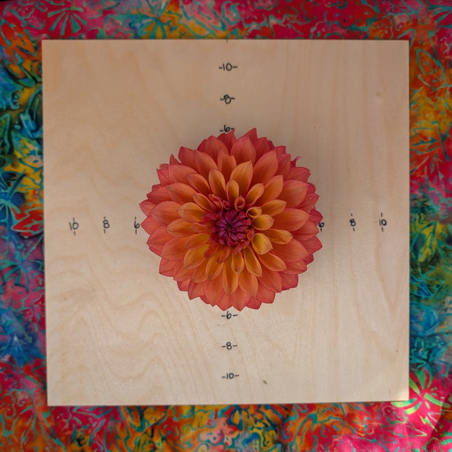 Misfit Kaleidoscope