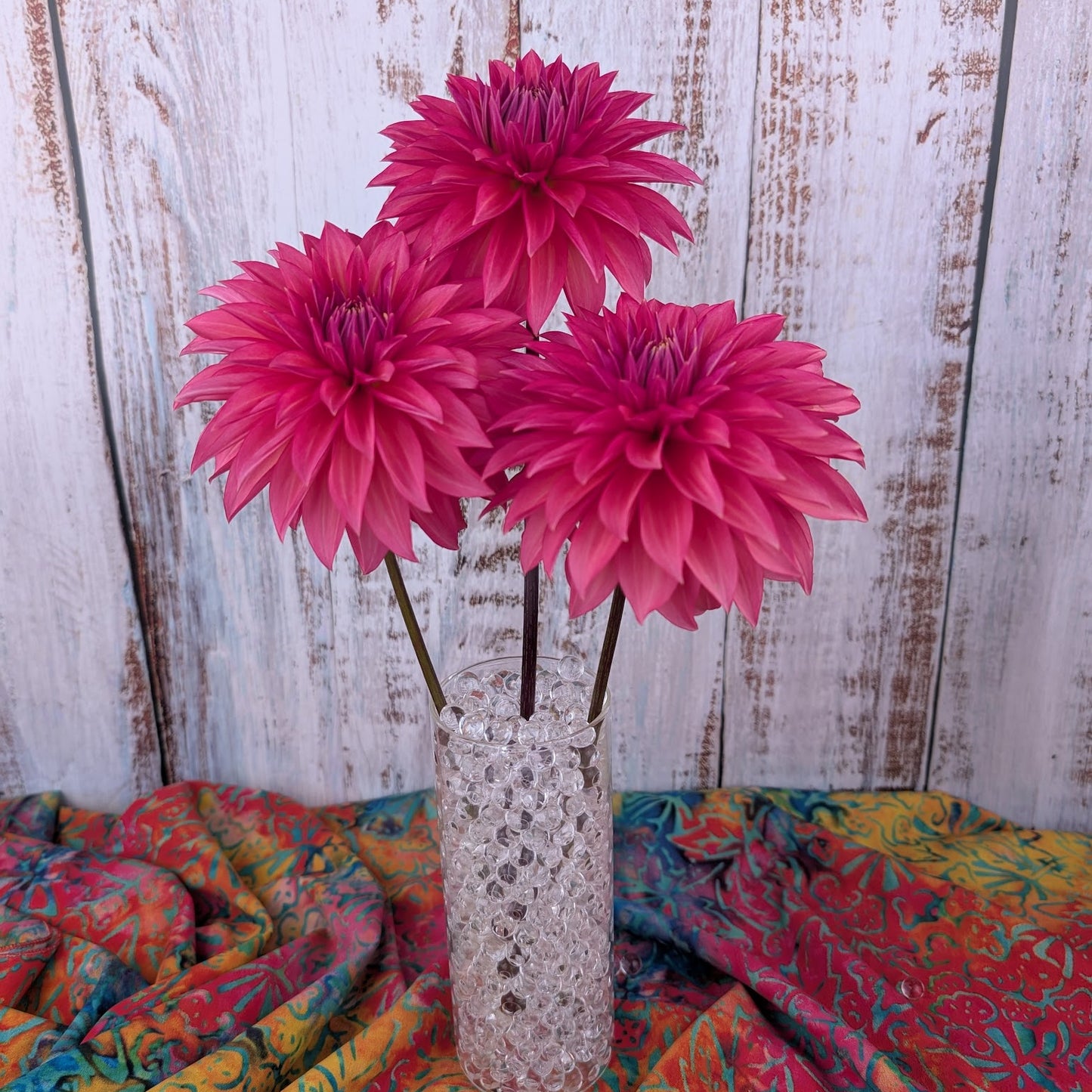 Sandia Ruthie