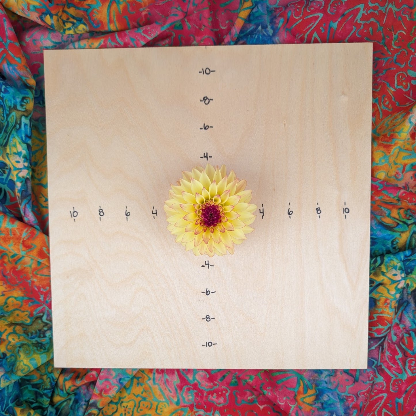 Verrone's Taylor Swift