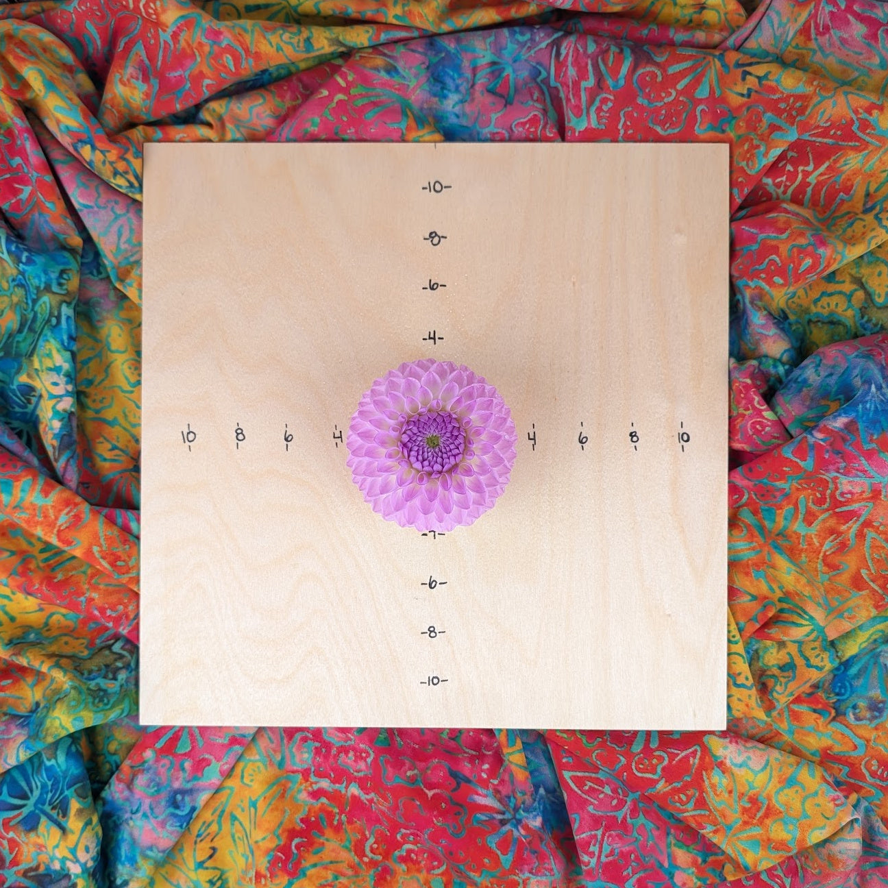 Westerton Ella Grace