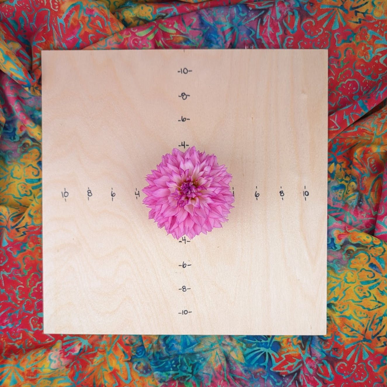 Willowolf Pinkie Swear